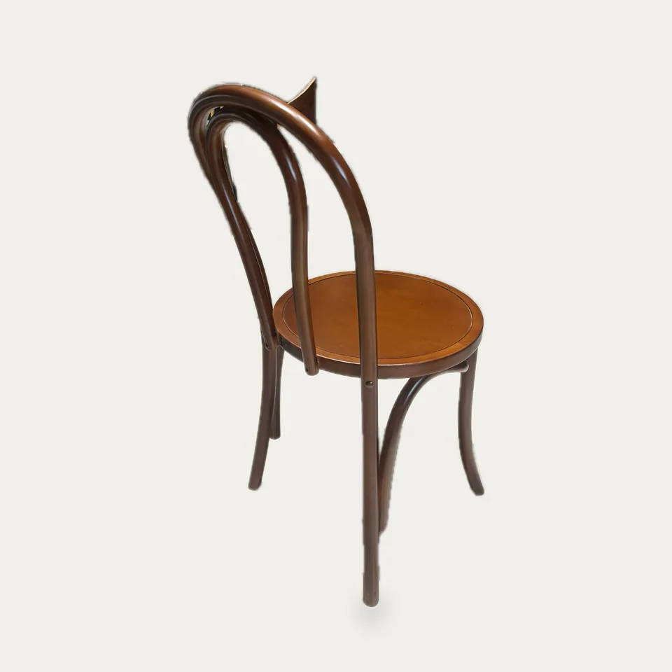 Newtown Bentwood Chair view 2